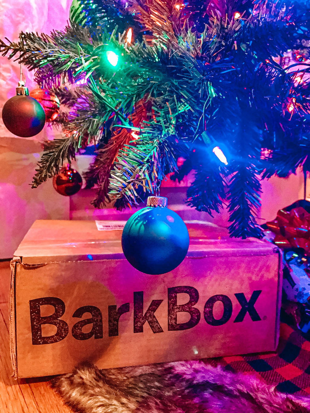 Bark Box Review